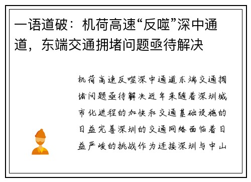 一语道破：机荷高速“反噬”深中通道，东端交通拥堵问题亟待解决